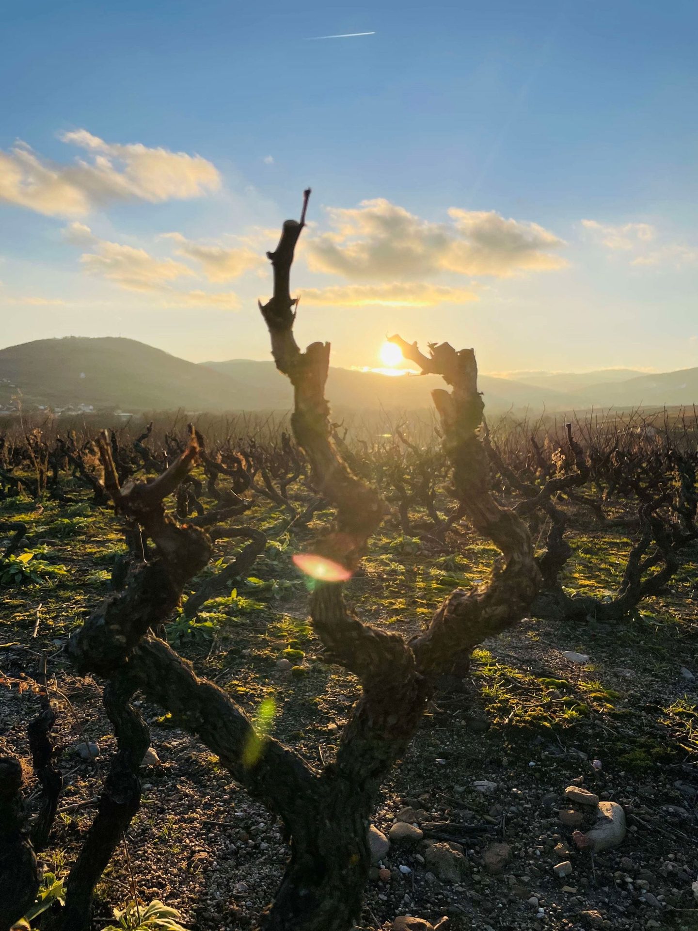 Domaine de Voujon