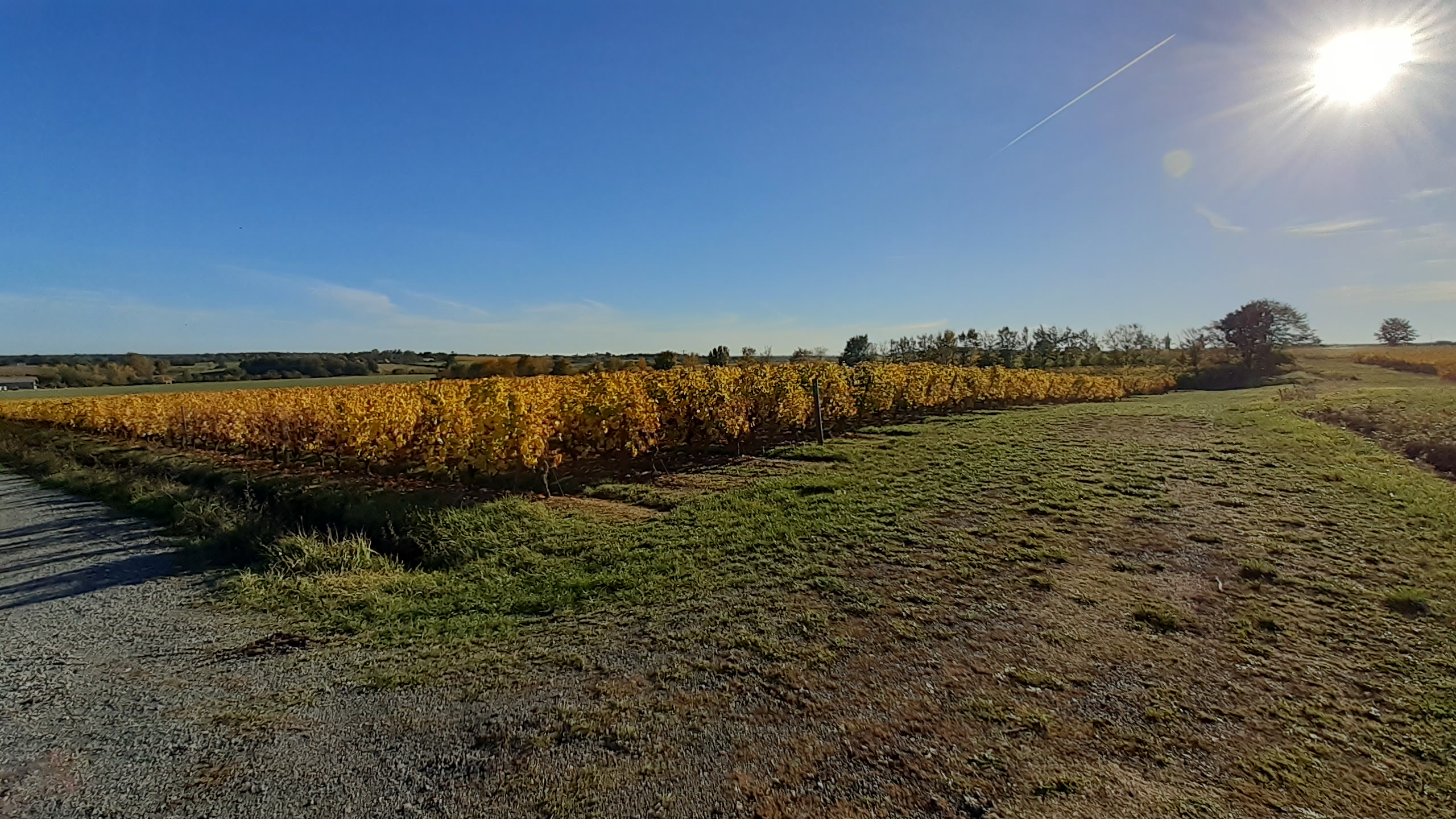 Domaine de Wagram