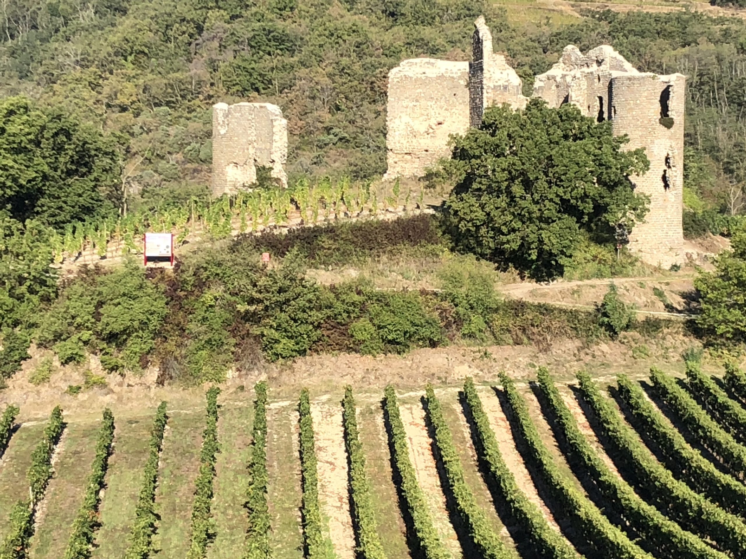 Domaine Delhome