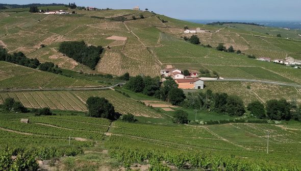 Domaine des 2 Fontaines