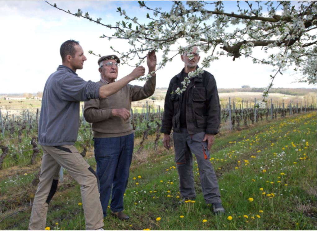 Domaine des Allegrets