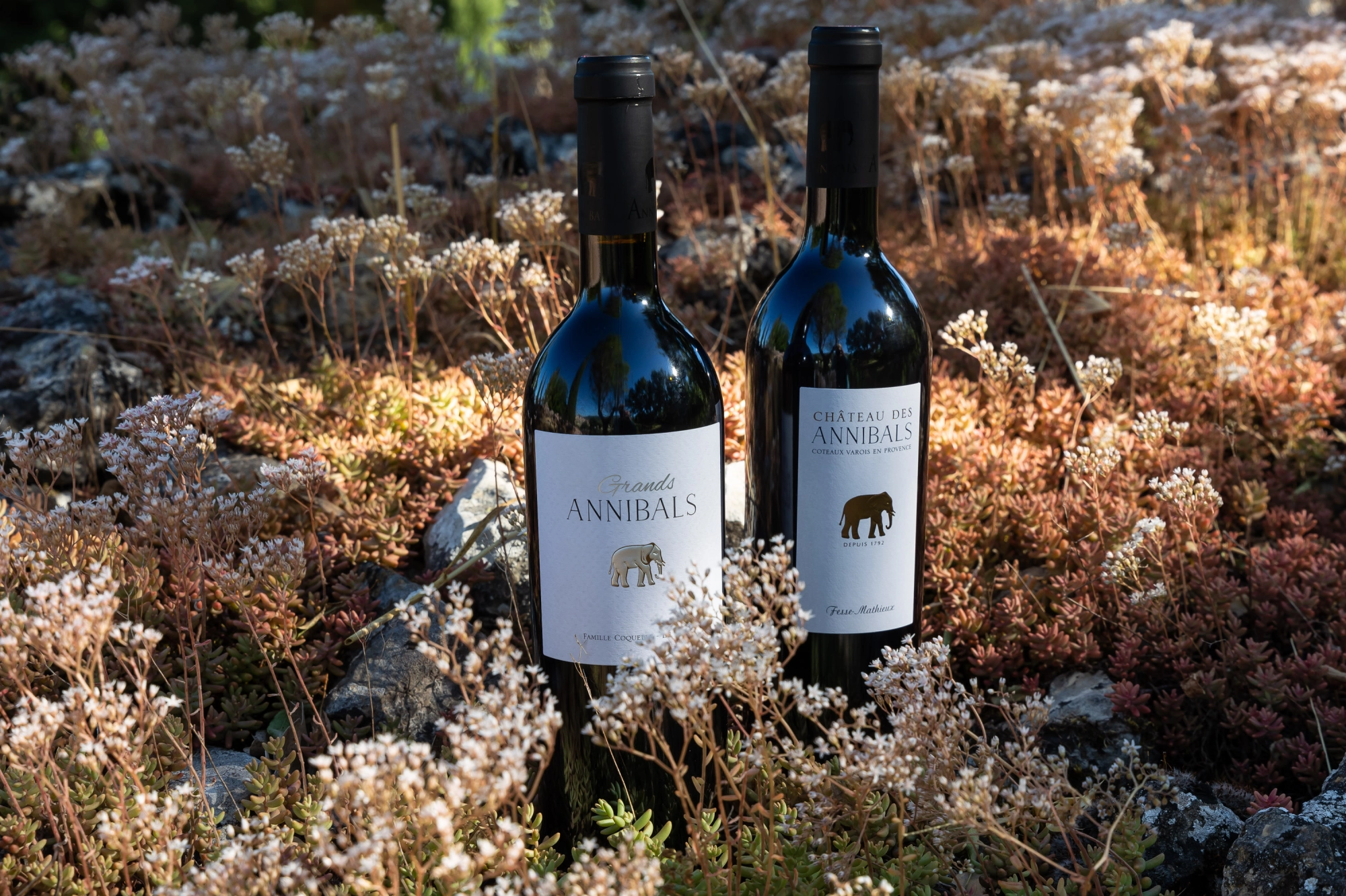Domaine des Annibals