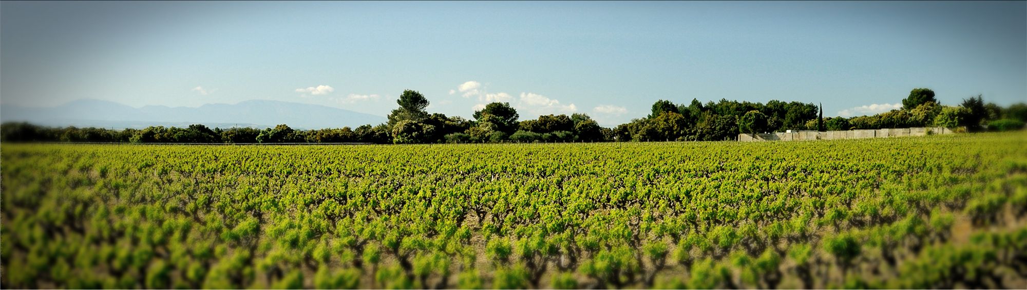 Domaine des Bouzons