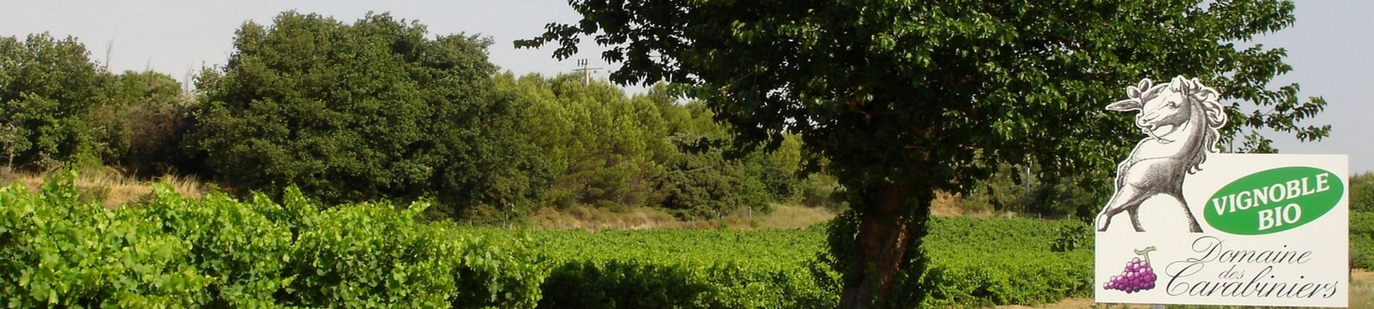 Domaine des Carabiniers