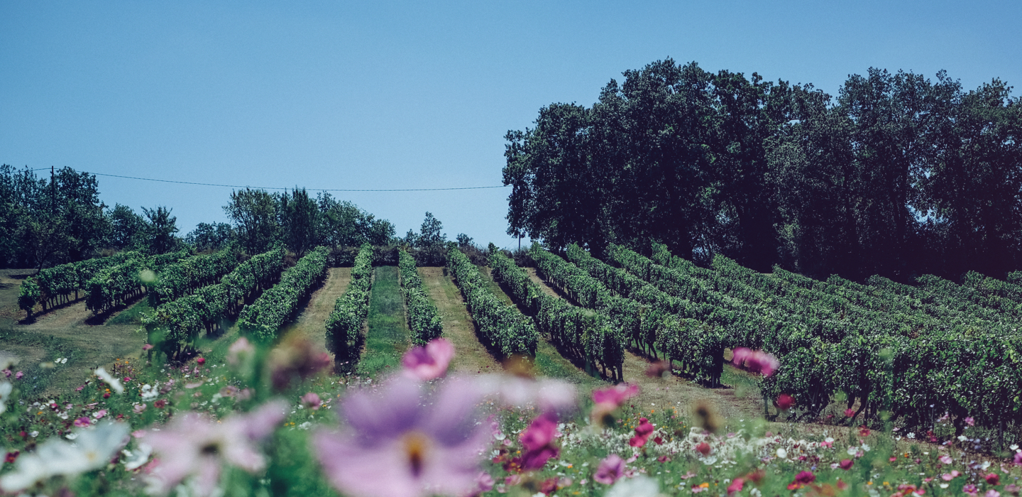 Domaine des Cassagnoles