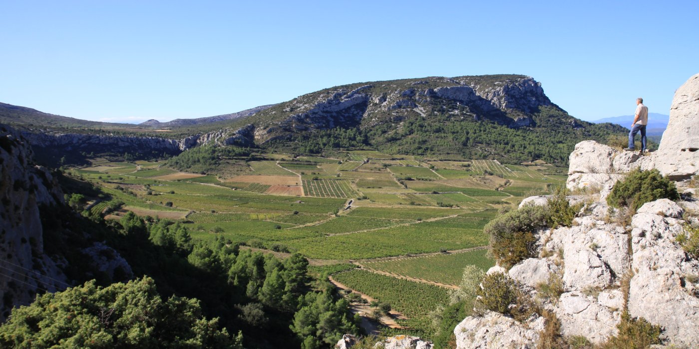 Domaine des Chenes