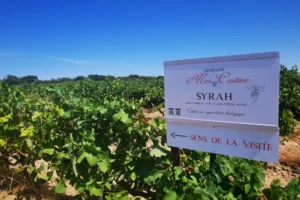 Domaine des Deux Puits - MAS CRISTINE