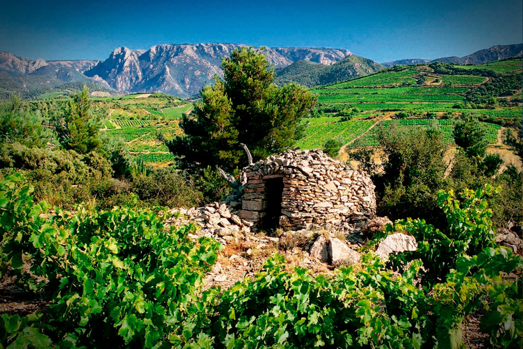 Domaine des Jougla