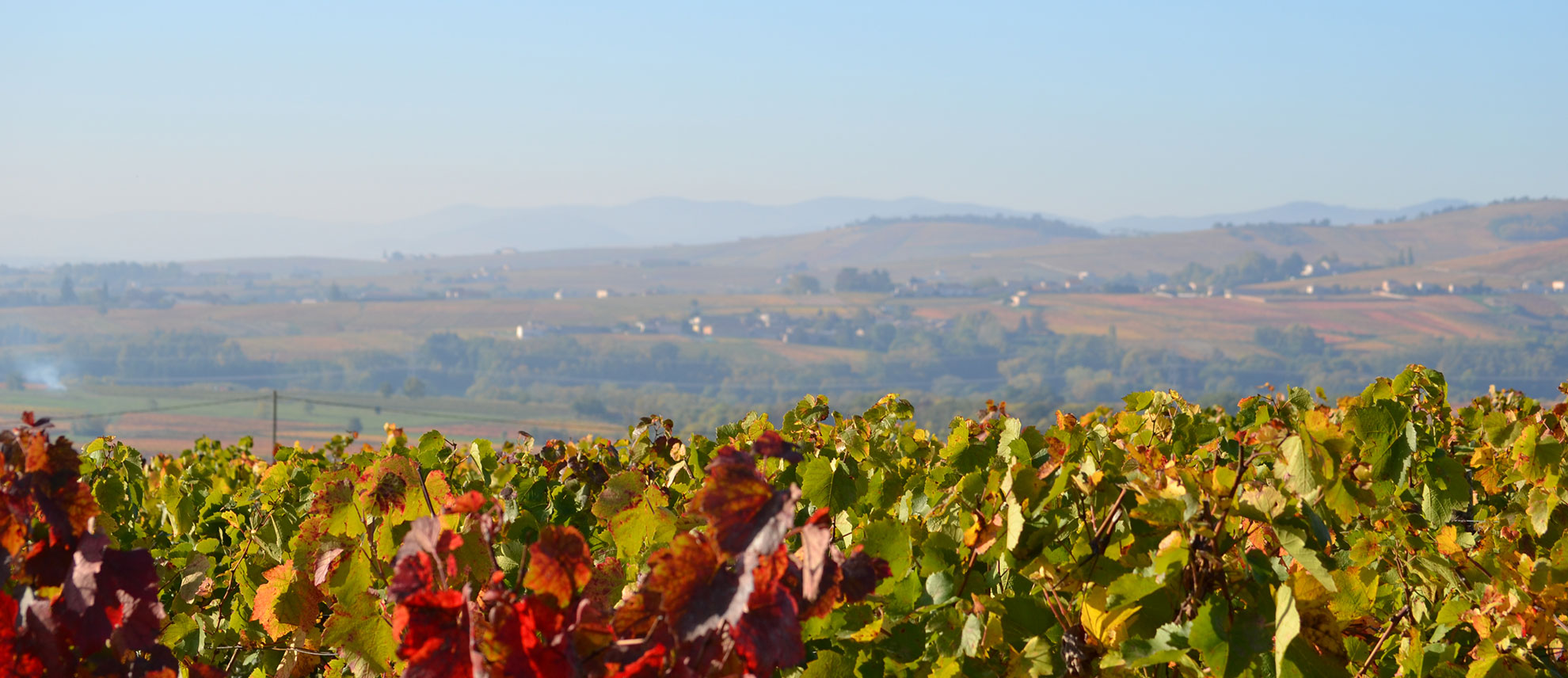 Domaine des Pierres