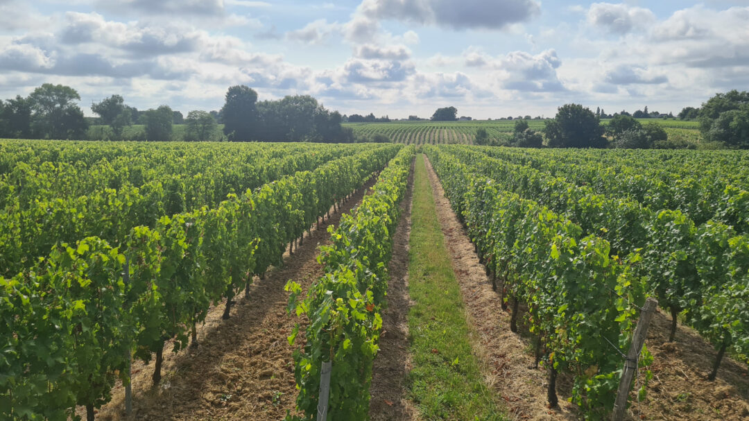 Domaine des Poupees