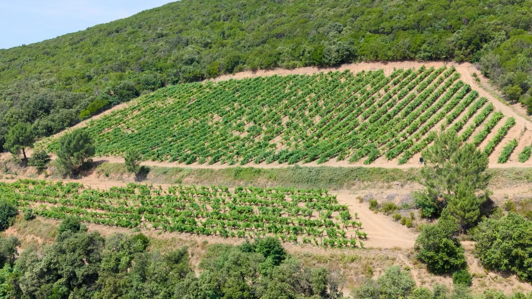 Domaine des Pradels - Quartironi