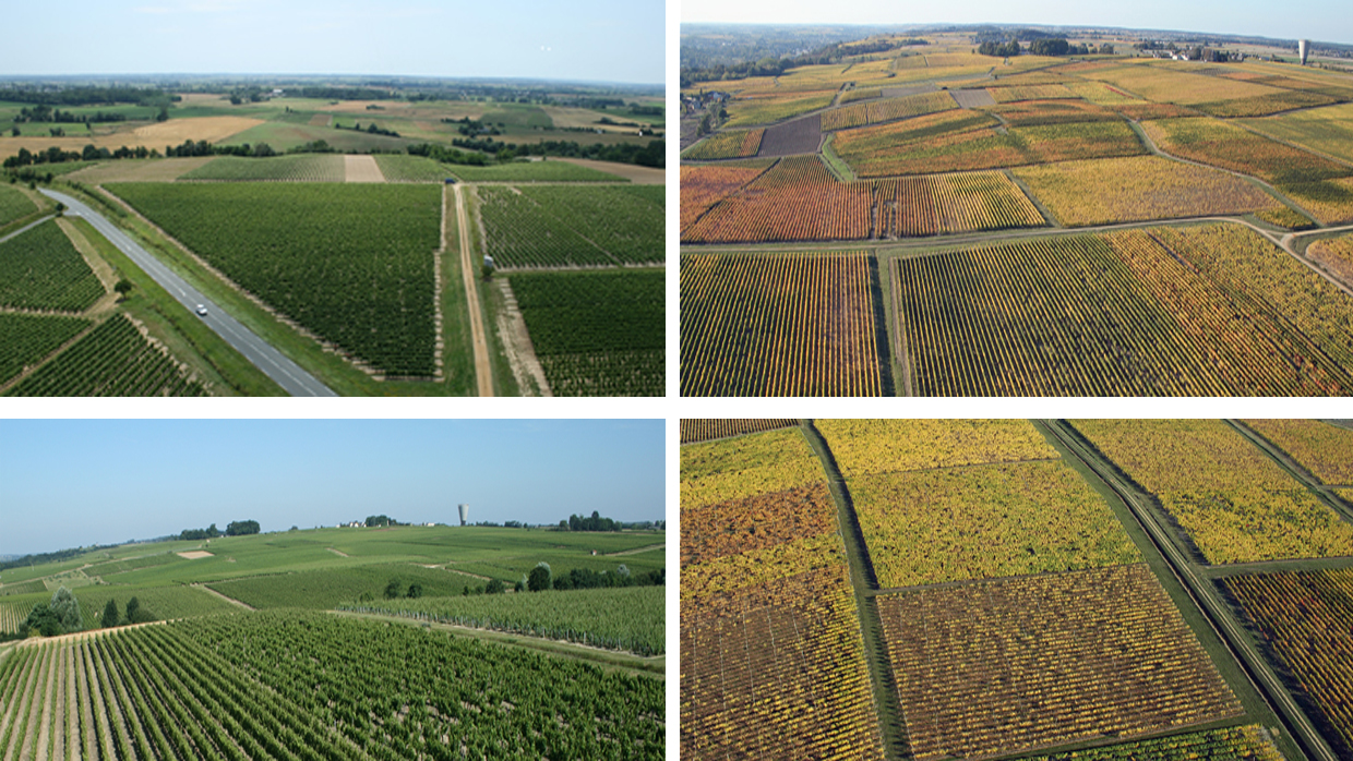 Domaine des Richeres