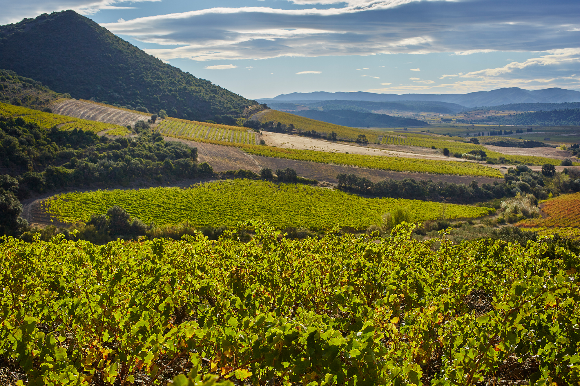 Domaine des Soulanes