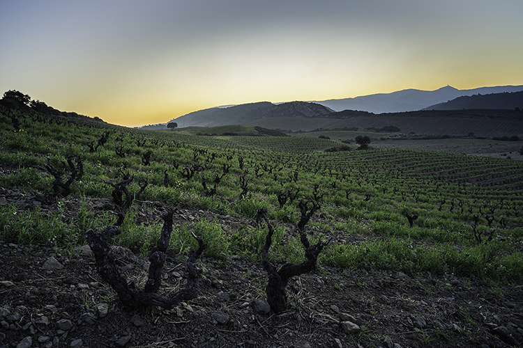 Domaine des Schistes