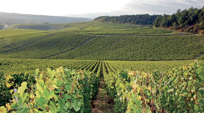 Domaine des Terres Rouges