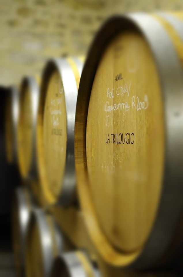 Domaine Dionysos