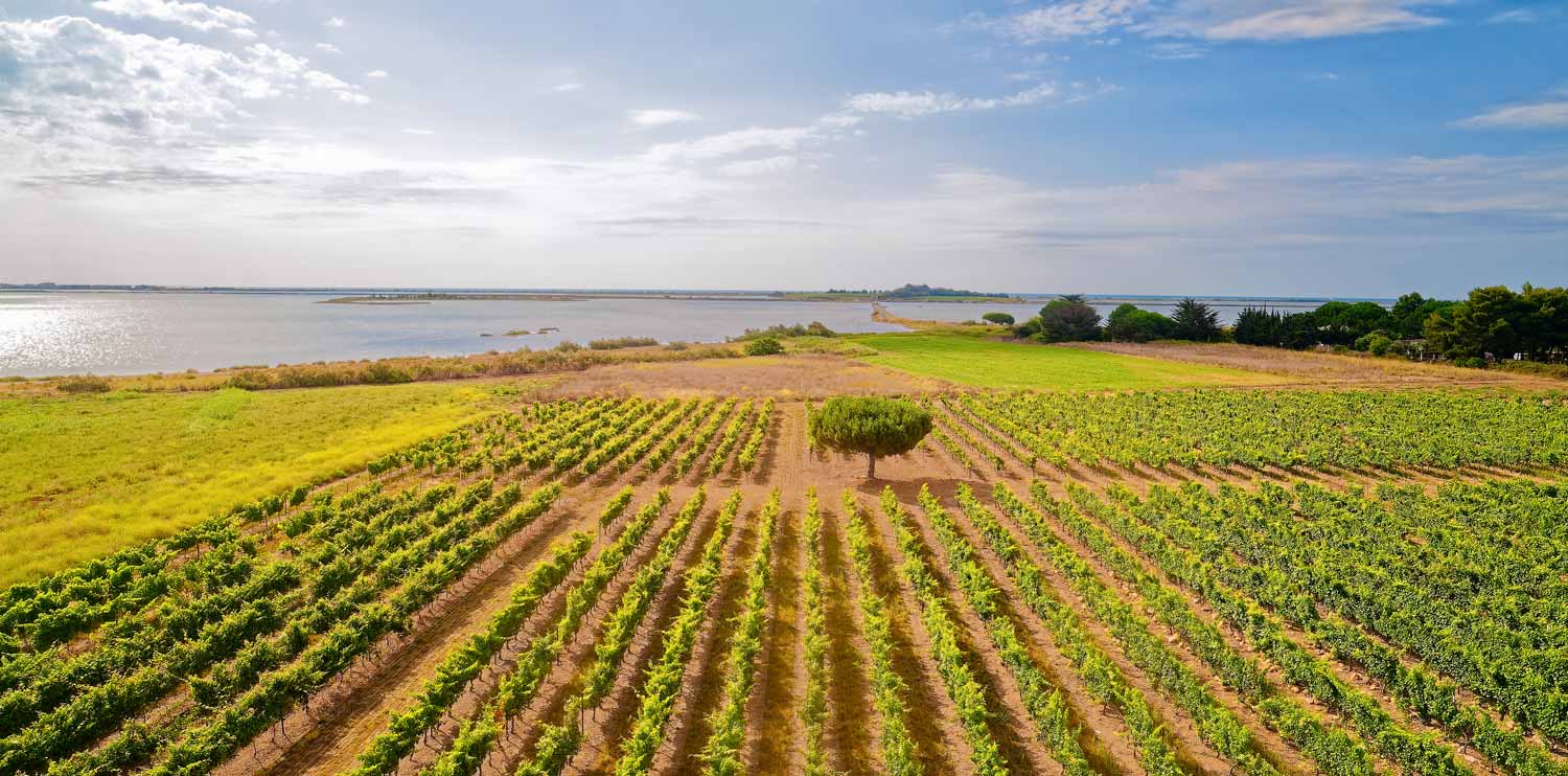 Domaine du Chapitre