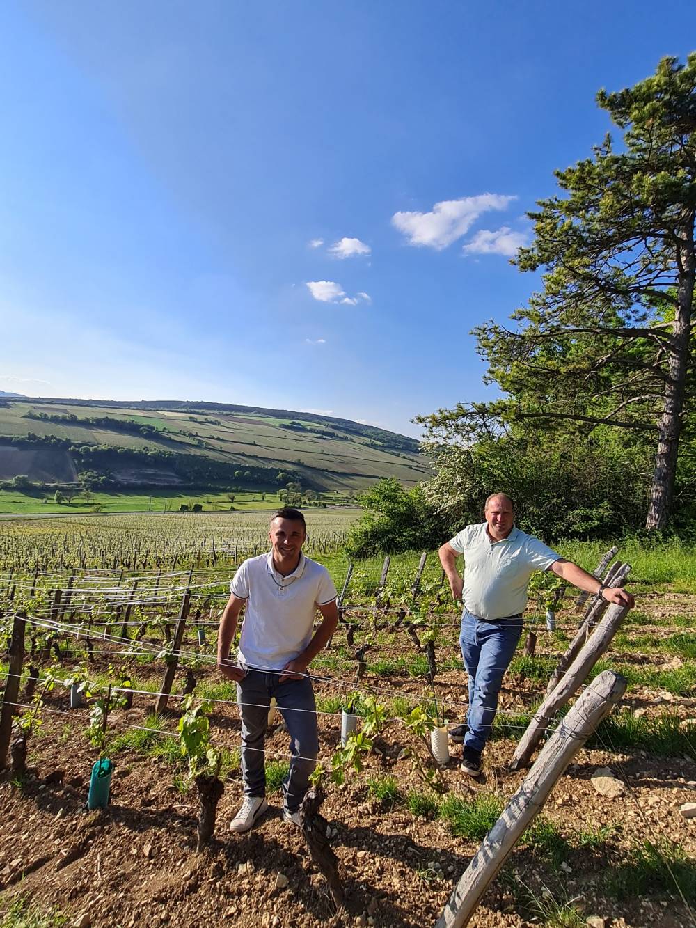 Domaine du Chene