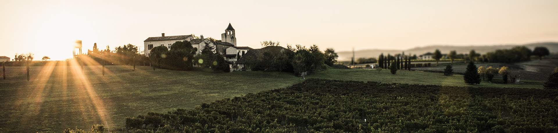 Domaine du Comte de Thun