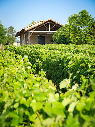 Domaine du Grand Comte