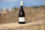 Domaine du Pioch Pere et Fils