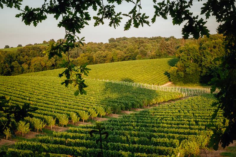 Domaine du Hour
