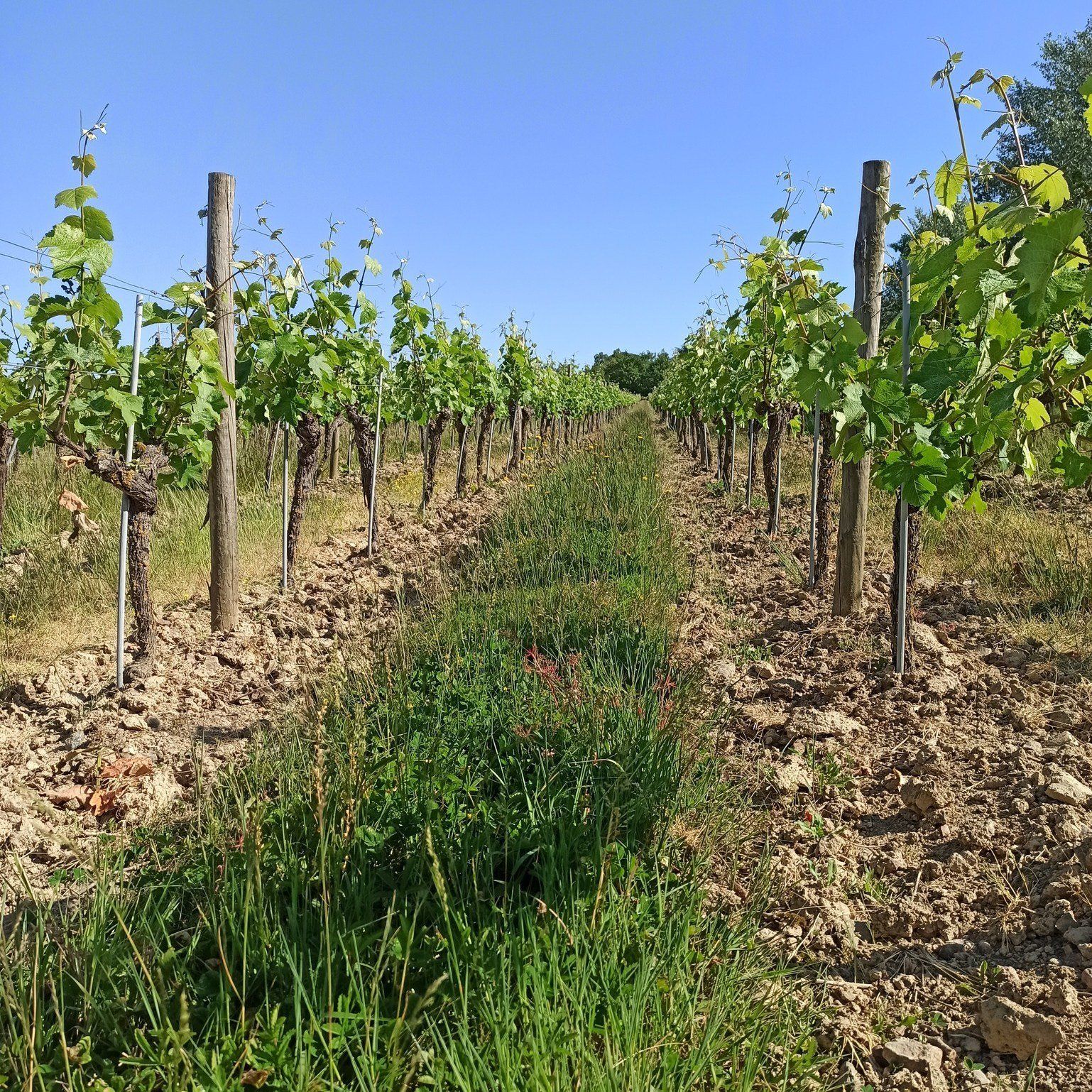 Domaine du Matin Calme