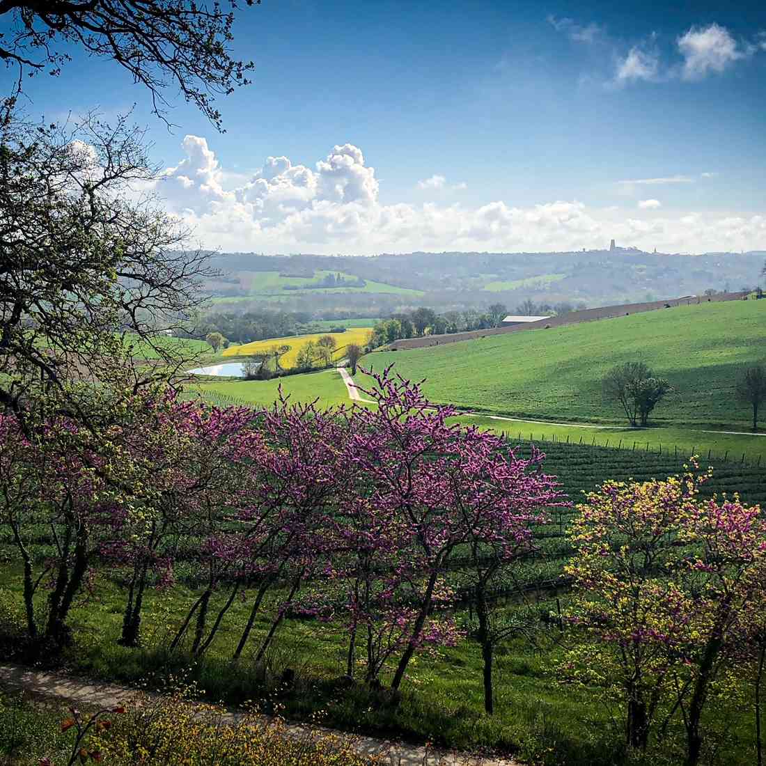 Domaine du Mirail