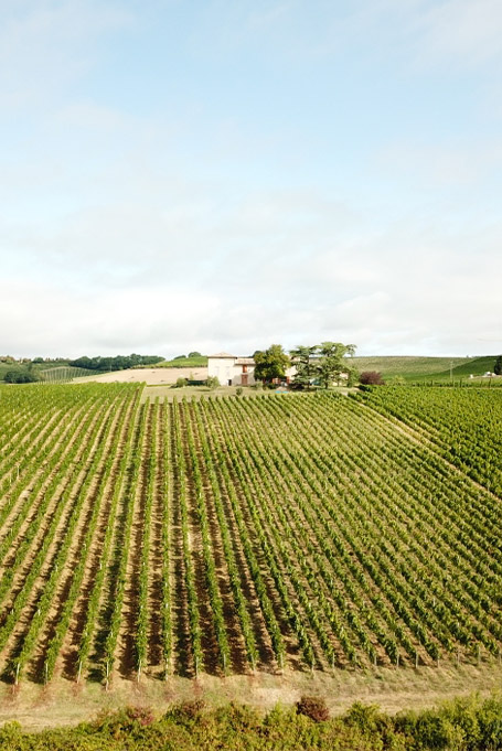 Domaine du Moulin Hirissou