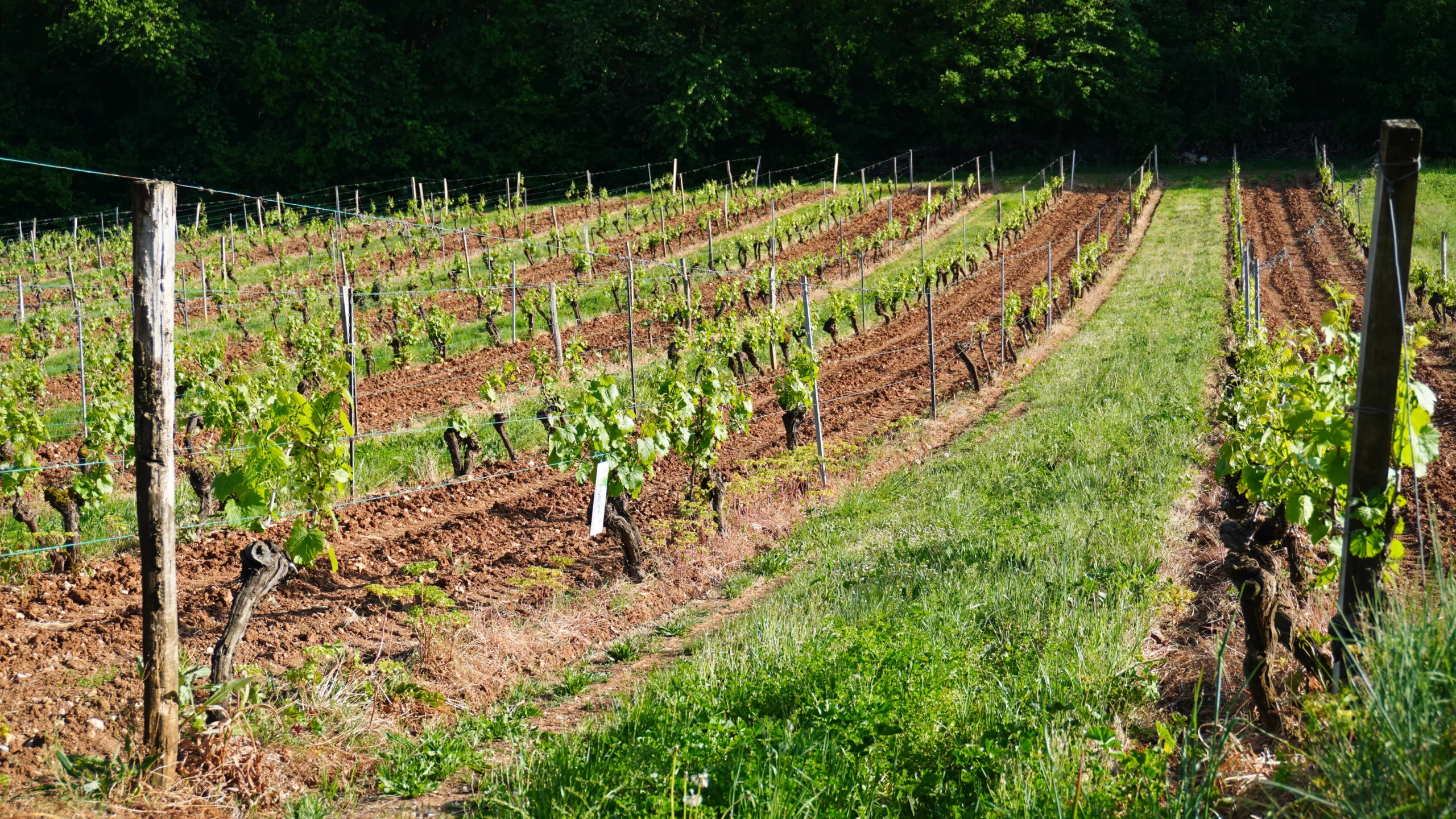 Domaine du Peyret