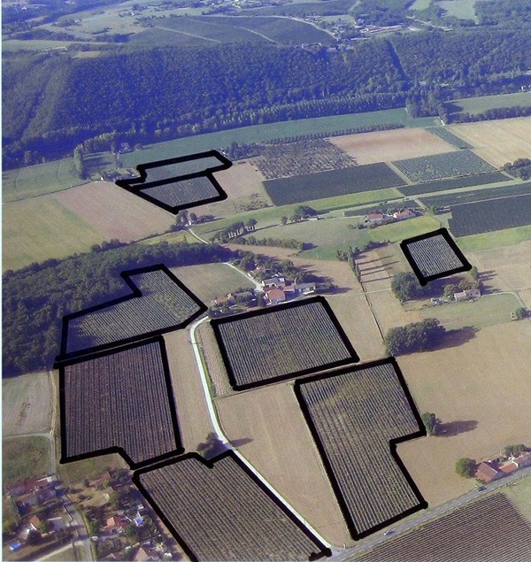 Domaine du Peyrie