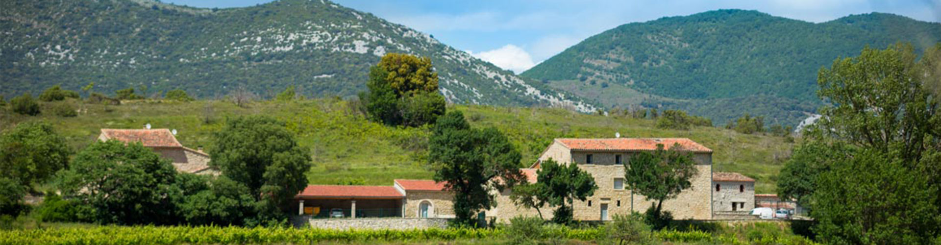 Domaine du Pin