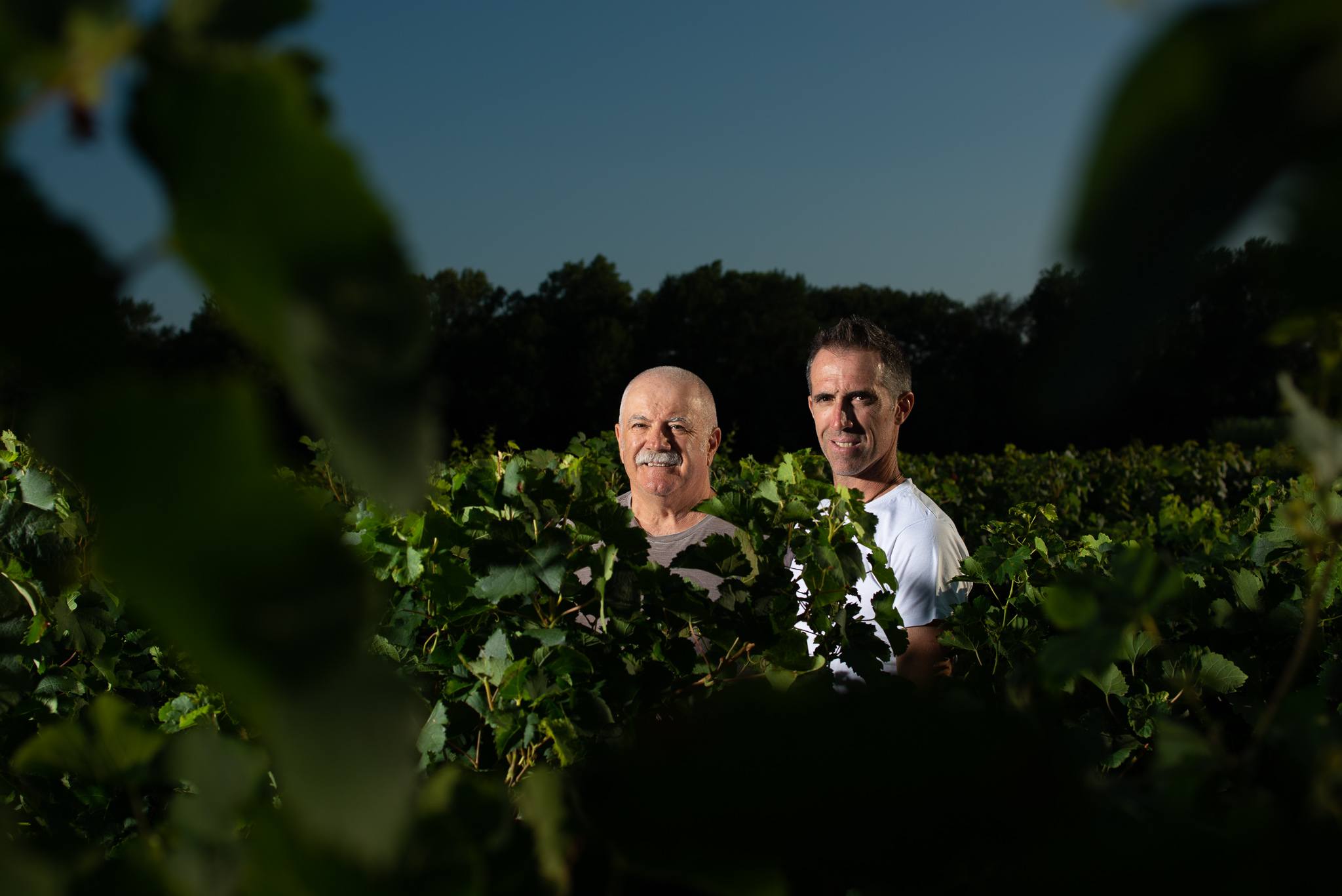 Domaine du Sablas
