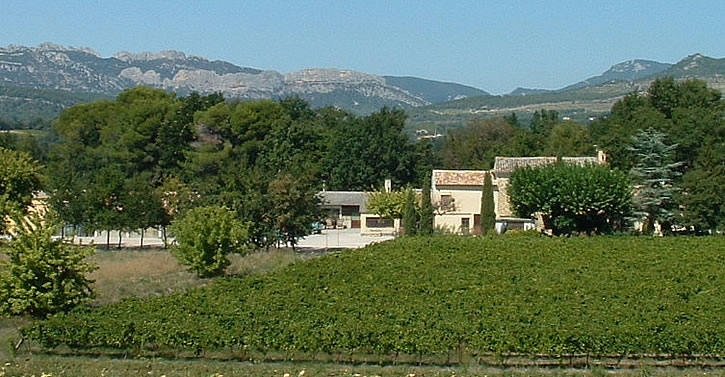 Domaine du Vas