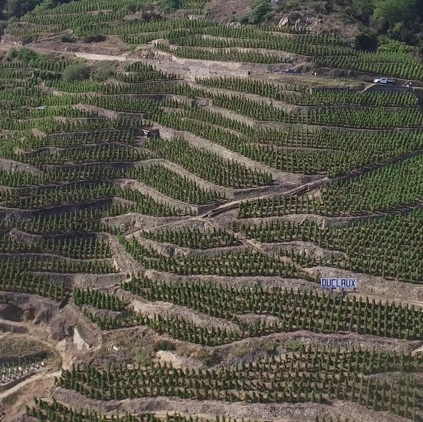Domaine Duclaux
