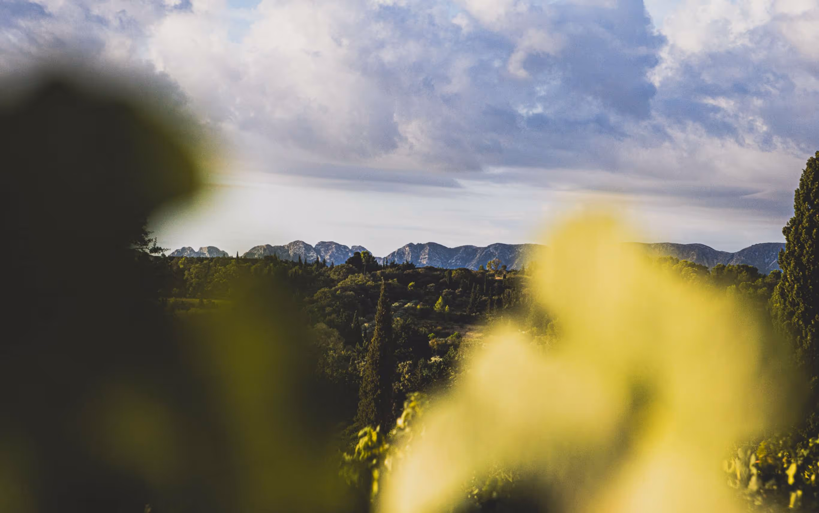 Domaine Eklo