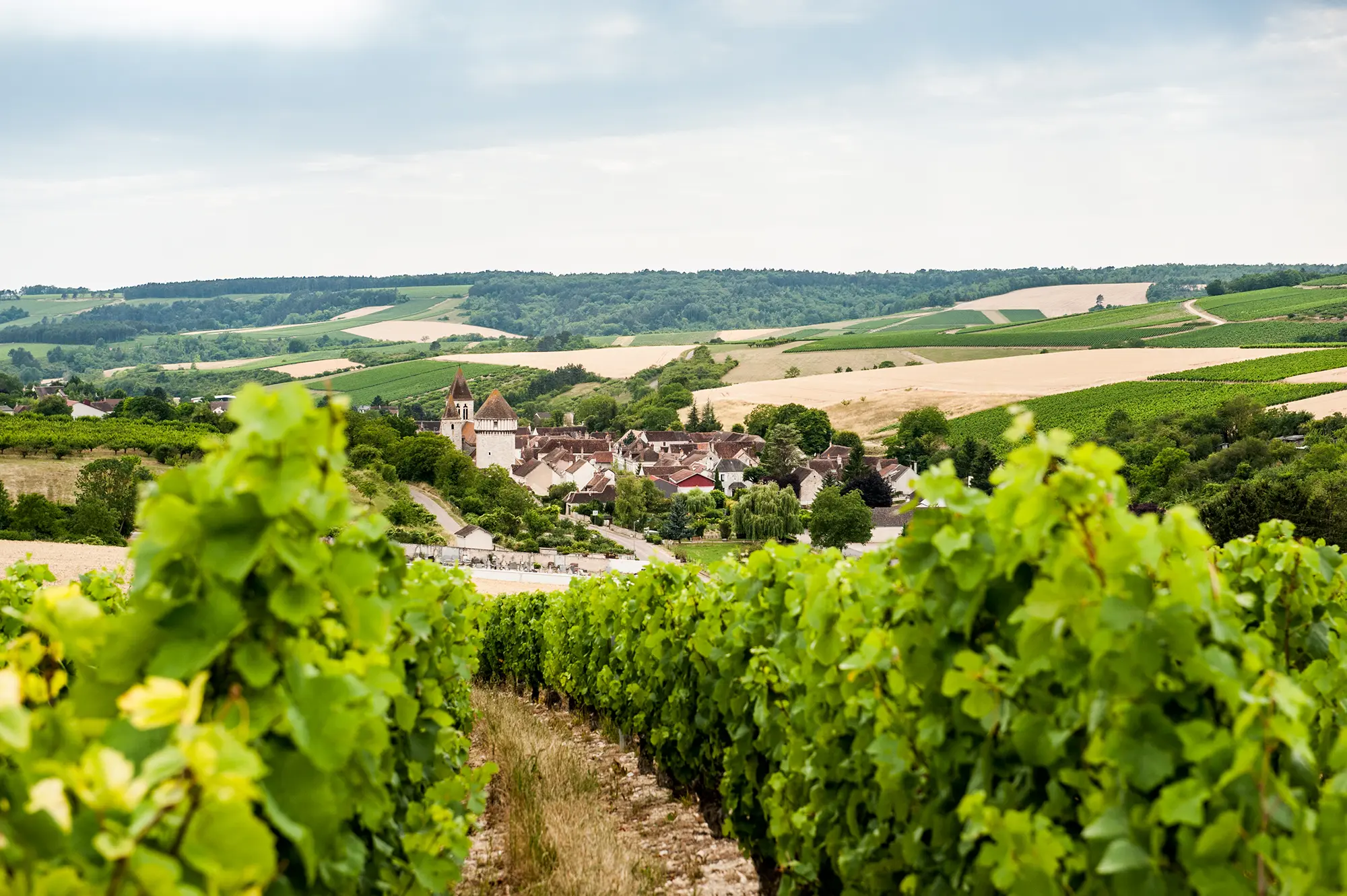 Domaine Elodie Chalmeau