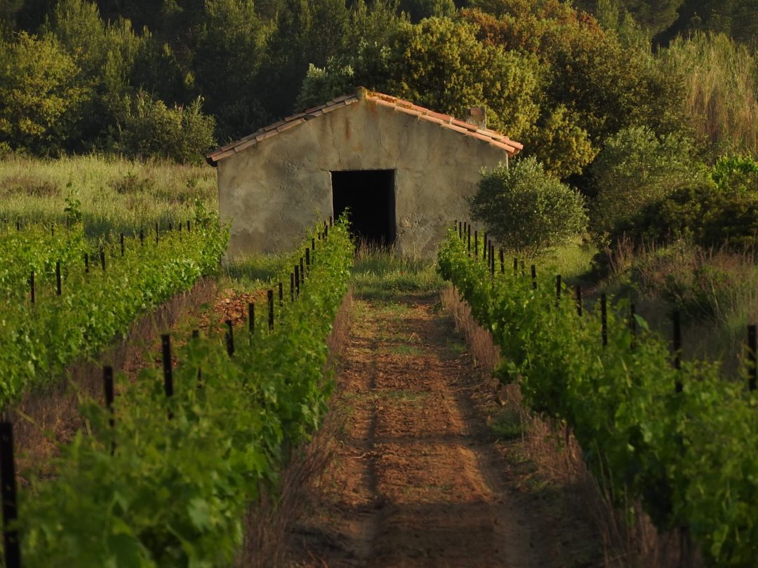 Domaine Esperou