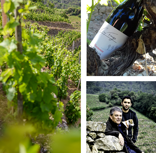 Domaine Farge