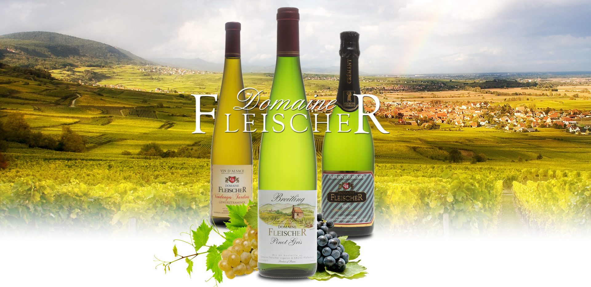 Domaine Fleischer