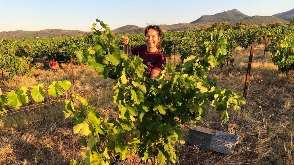Domaine Flo Busch