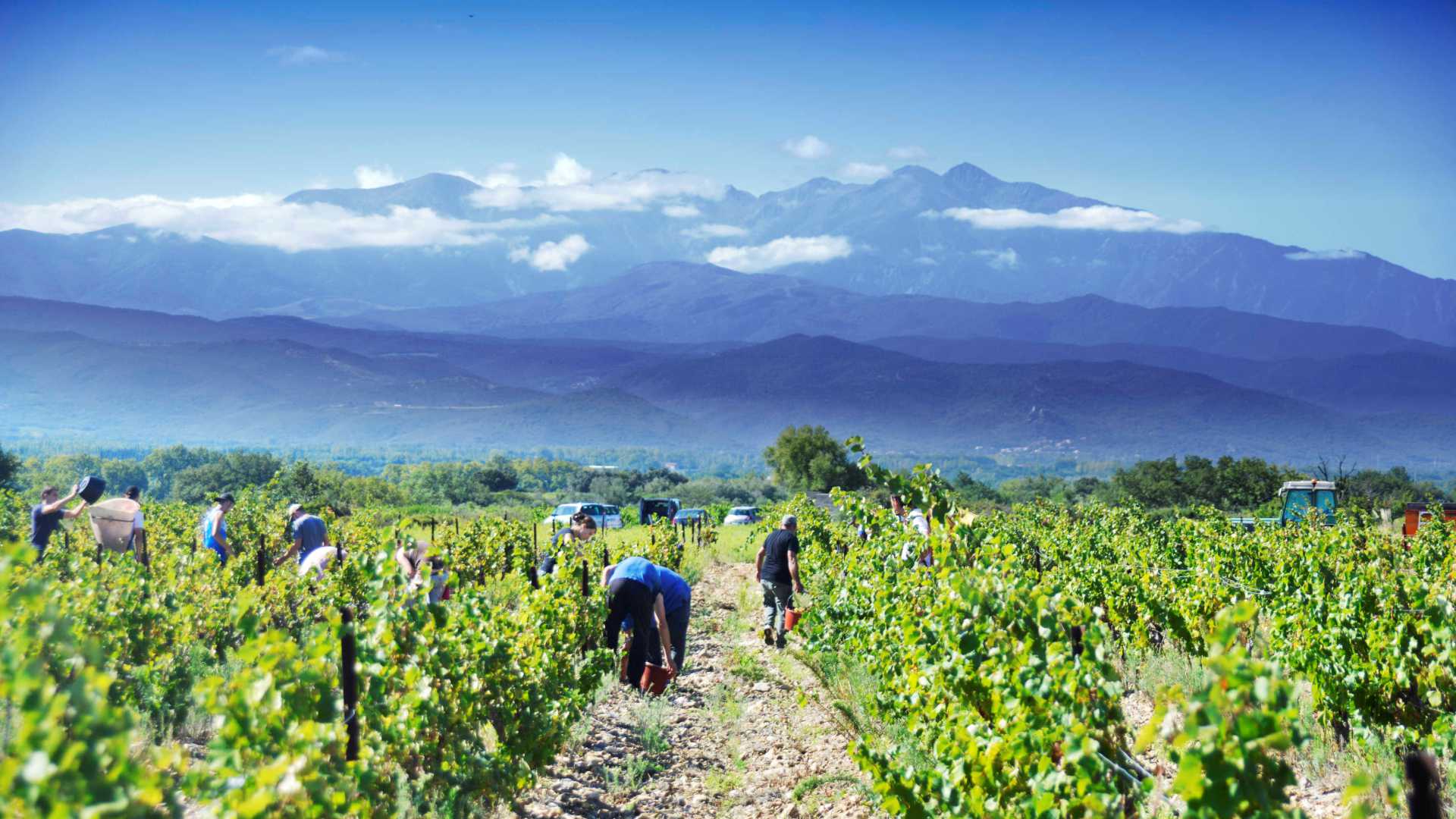 Domaine Fontanel