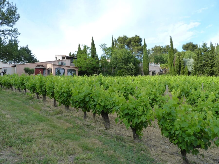 Domaine Fontanille le Haut