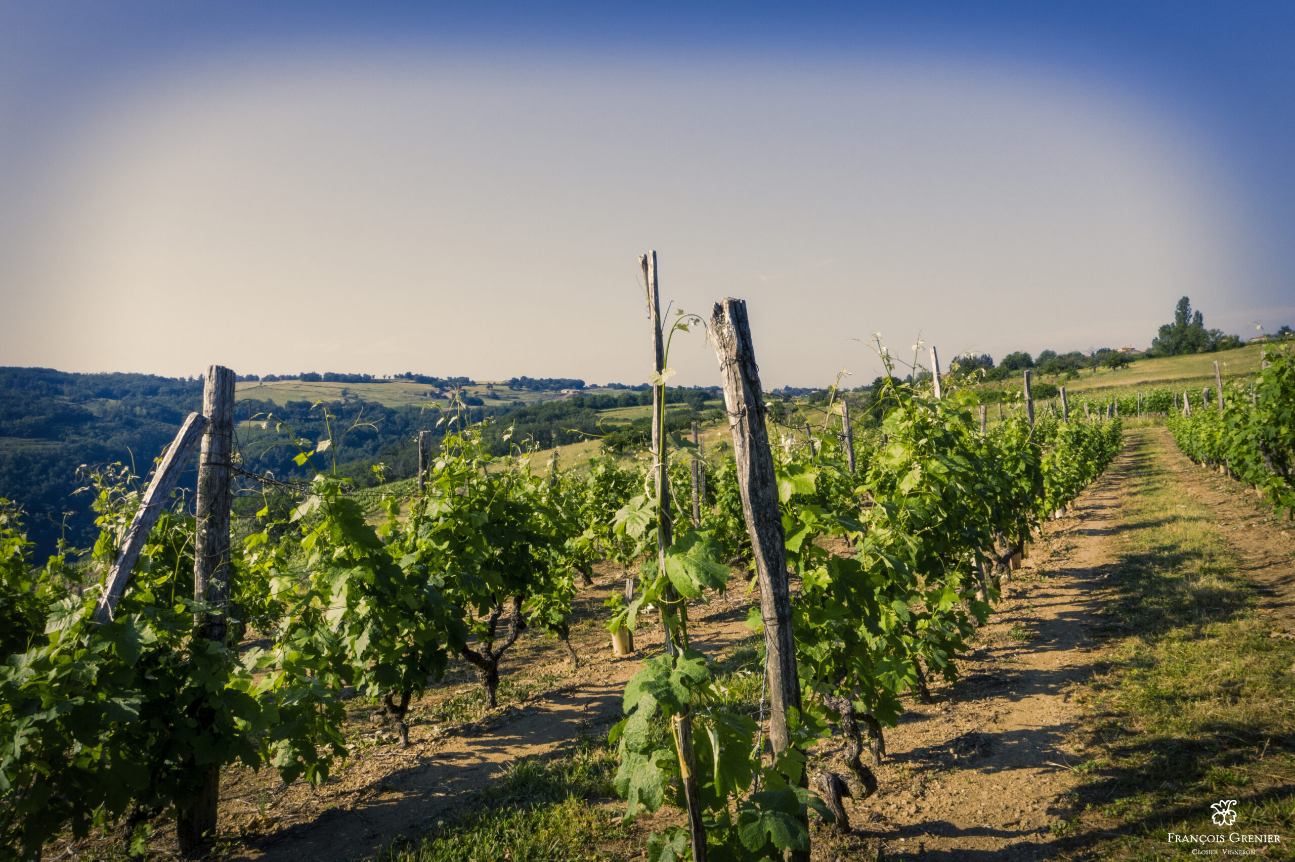 Domaine François Grenier