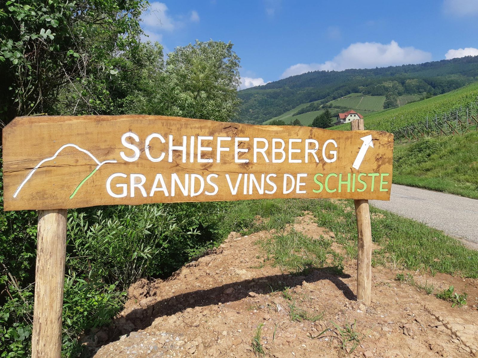 Domaine Geiger Koenig - le Felsberg