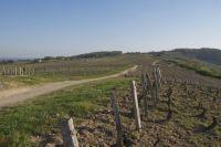 Domaine Giroux Yves et Fils