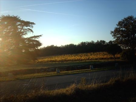 Domaine Guichoux