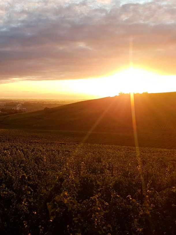 Domaine Guillaume Jost