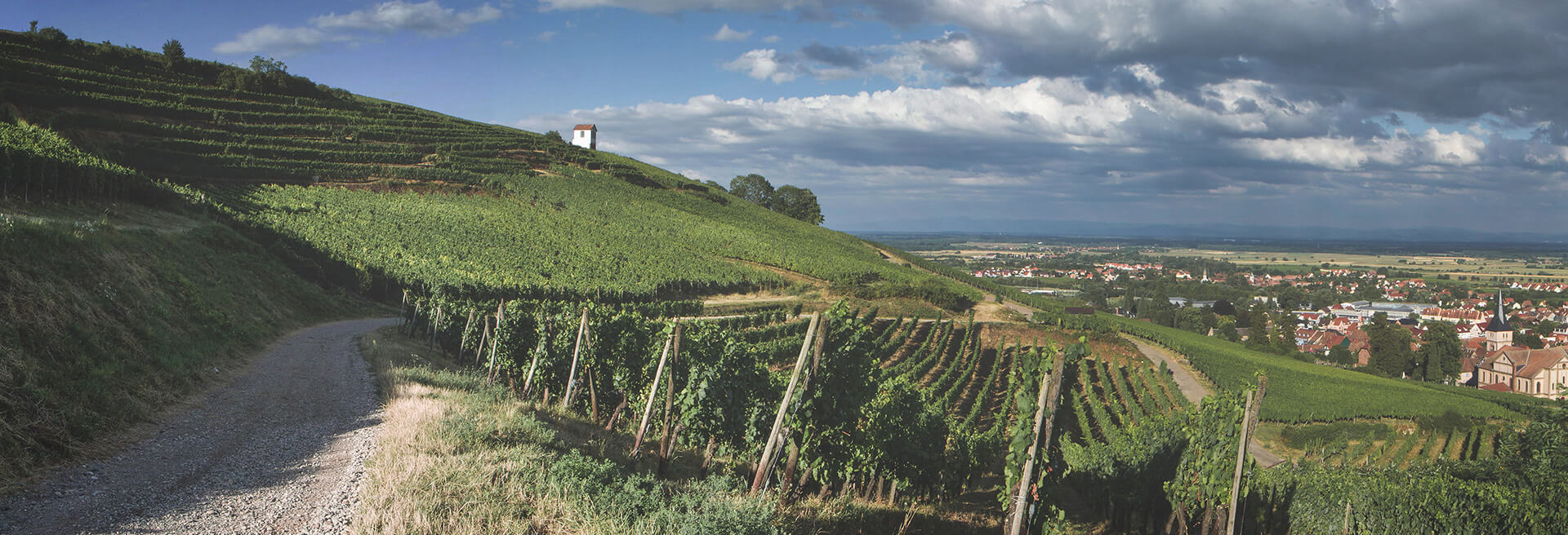 Domaine Hering