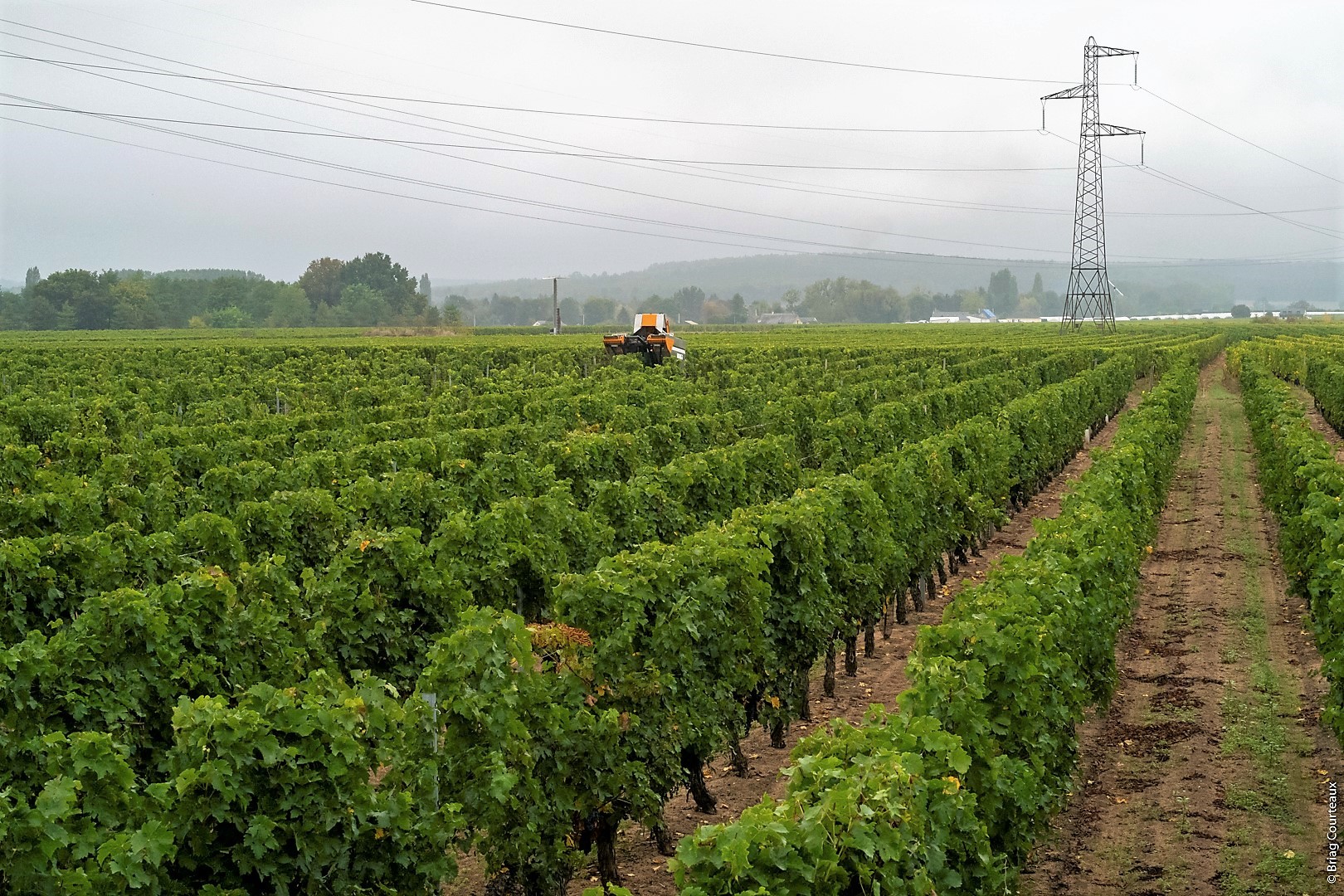 Domaine Hersard du Fondis